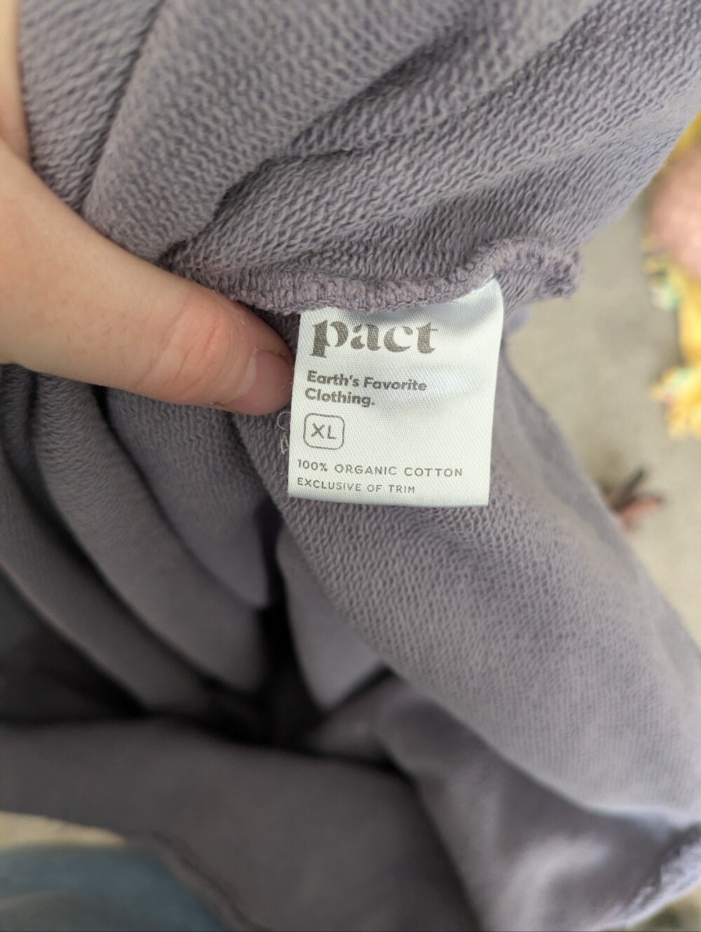 Pact Raglan Relaxed Sweatshirt - Picture 5 of 6